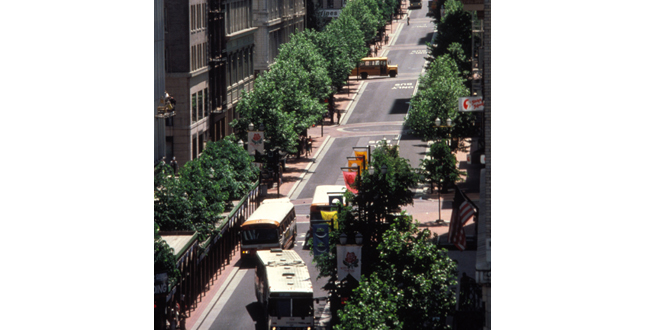 The Portland Mall Revitalization Project